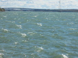 IMG_4284.JPG