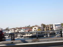 IMG_4552.JPG